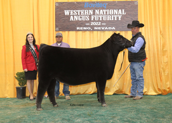 Junior Heifer Calf Champion - Division 2