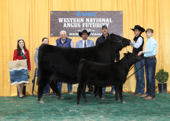 Grand Champion Cow-calf Pair