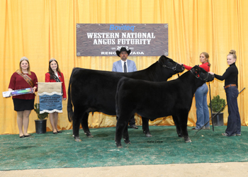 Reserve Grand Champion Cow-calf Pair