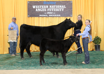 Bred-and-owned Reserve Junior Champion Heifer