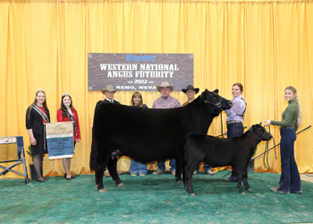 Grand Champion PGS Female