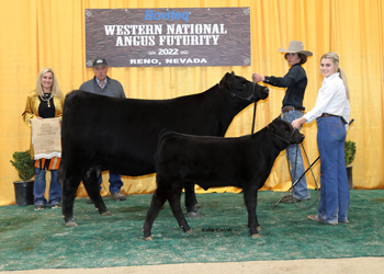 Bred-and-owned Junior Champion Heifer