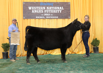 Bred-and-owned Reserve Intermediate Champion Heifer