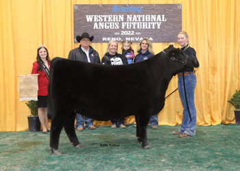 Owned Senior Heifer Calf Champion