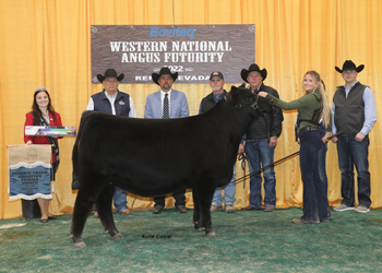 Reserve Grand Champion Owned Female