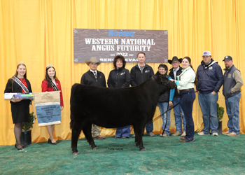 Reserve Grand Champion PGS Female