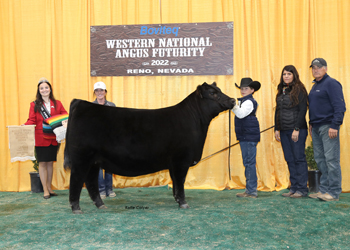 Reserve Junior Heifer Calf Champion - Division 2