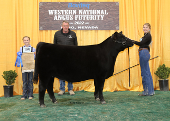 Bred-and-owned Junior Heifer Calf Champion