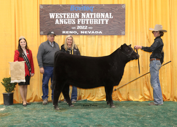 Owned Summer Heifer Calf Champion
