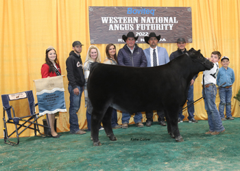 Grand Champion Steer