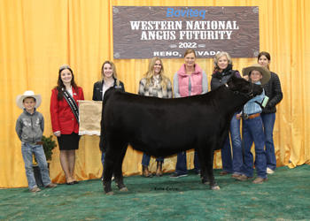 PGS Reserve Heifer Division 1