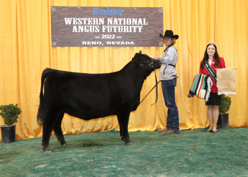 Bred-and-owned Reserve Junior Heifer Calf Champion