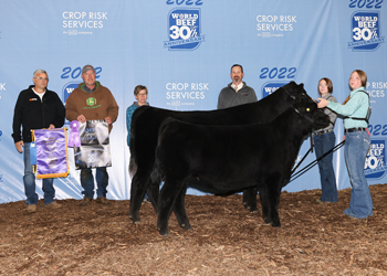 Grand Champion Cow-calf Pair