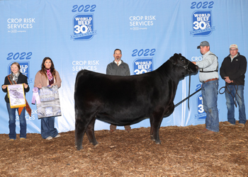 Reserve Grand Champion Female