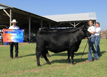 Reserve Grand Champion Cow-calf Pair