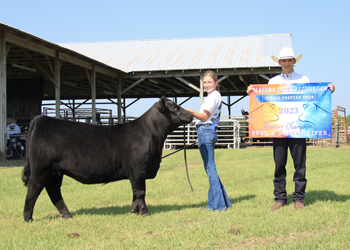 Reserve Grand Champion Bred-and-owned Female