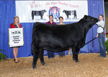 Reserve Senior Champion Female