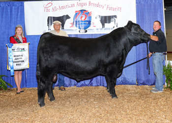 Reserve Junior Champion Bull