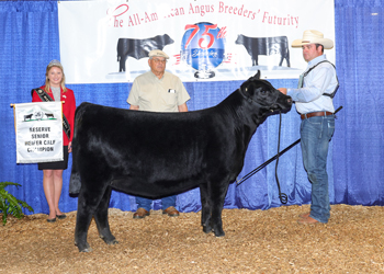 Reserve Senior Heifer Calf Champion