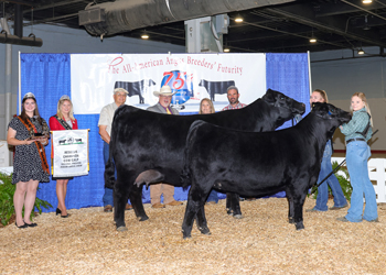 Reserve Grand Champion Cow-calf Pair