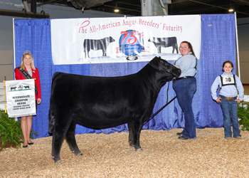 Owned Intermediate Champion Heifer