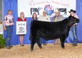 Reserve Grand Champion Steer