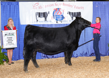 Owned Reserve Early Junior Champion Heifer