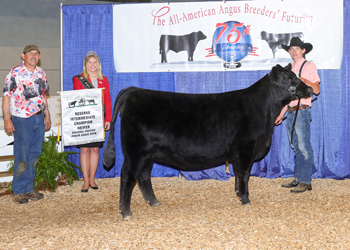 Owned Reserve Intermediate Champion Heifer