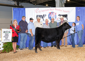 Reserve Grand Champion Bred-and-owned Female