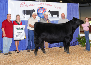 Grand Champion Steer