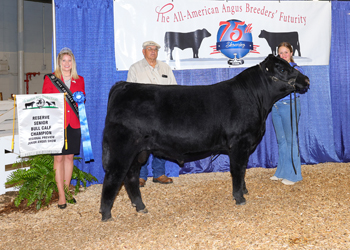 Bred-and-owned Reserve Senior Bull Calf Champion