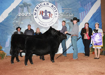 Grand Champion Cow-calf Pair