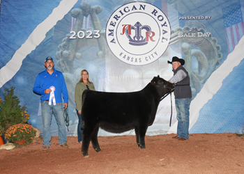 Reserve Junior Heifer Calf Champion