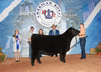 Grand Champion Bred-and-owned Female