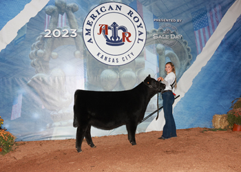 Owned Reserve Junior Heifer Calf Champion