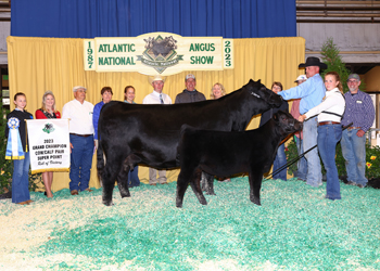 Grand Champion Cow-calf Pair