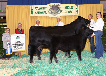 Reserve Grand Champion Cow-calf Pair