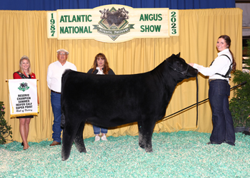 Reserve Summer Heifer Calf Champion