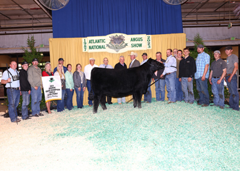 Reserve Grand Champion Female