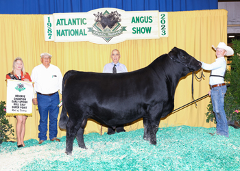 Reserve Junior Bull Calf Champion