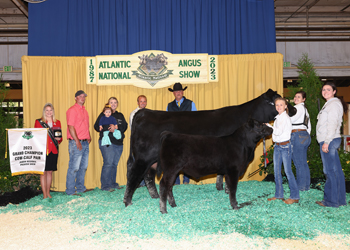 Grand Champion Cow-calf Pair