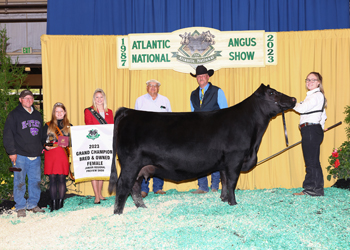 Grand Champion Bred-and-owned Female