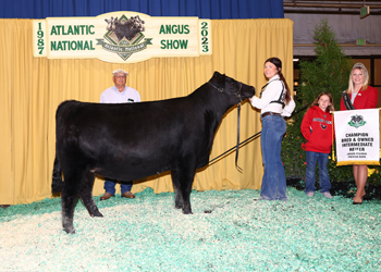 Bred-and-owned Intermediate Champion Heifer