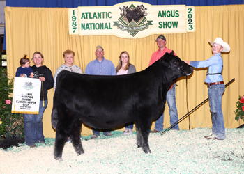 Owned Reserve Summer Heifer Calf Champion