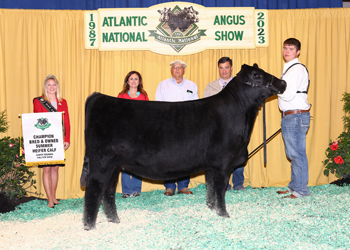 Bred-and-owned Summer Heifer Calf Champion