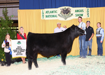 Reserve Grand Champion Bred-and-owned Steer