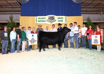 Reserve Grand Champion Owned Female