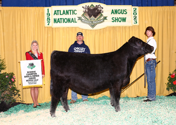 Bred-and-owned Reserve Junior Heifer Calf Champion