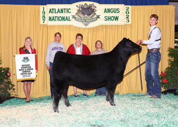 Bred-and-owned Reserve Summer Heifer Calf Champion