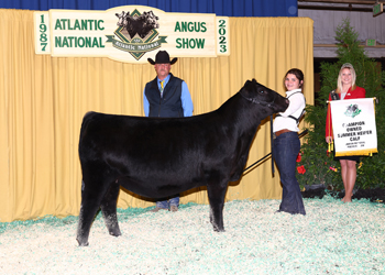 Owned Summer Heifer Calf Champion